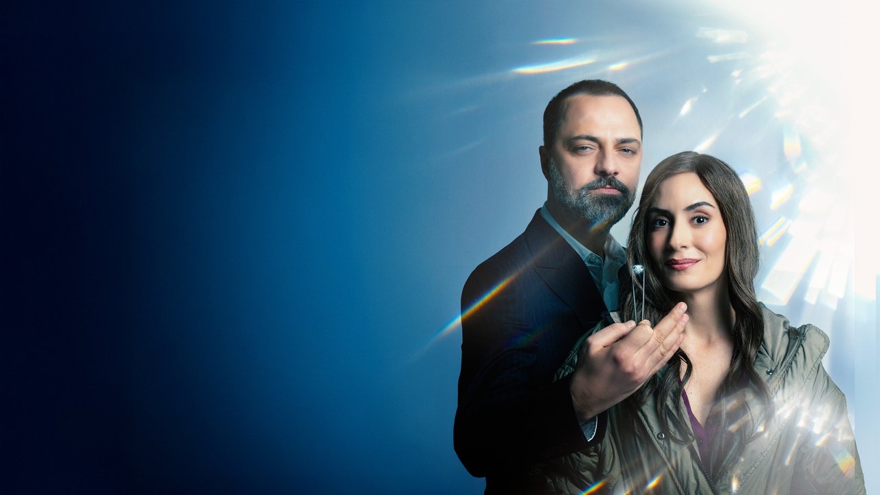 FER Series Screenshot 2